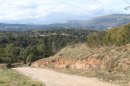 Bois des Maures